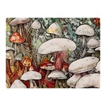 Magician s Toadstool Premium Plush Fleece Blanket (Mini) 35 x27  Blanket Front