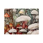 Magician s Toadstool One Side Premium Plush Fleece Blanket (Mini) 35 x27  Blanket Front