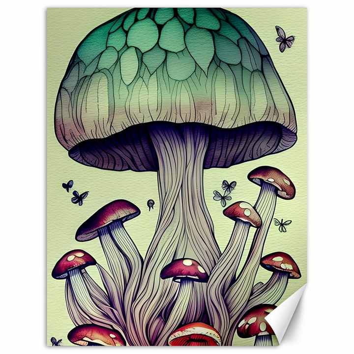 Toadstool Charm For Necromancy And Wizardry Canvas 12  x 16 