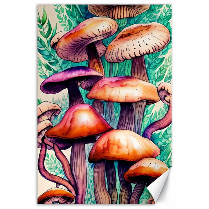 Charming Toadstool Canvas 24  x 36 