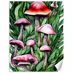 Charm Of The Toadstool Canvas 12  X 16  by GardenOfOphir