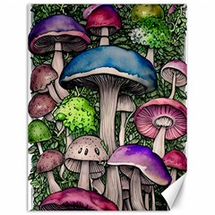 Necromancy Of The Mushroom Canvas 12  x 16 