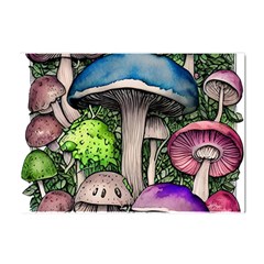 Necromancy Of The Mushroom Crystal Sticker (A4)