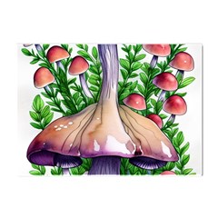 Conjuring Charm Of The Mushrooms Crystal Sticker (a4) by GardenOfOphir