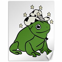 Frog With A Cowboy Hat Canvas 36  X 48  by Teevova