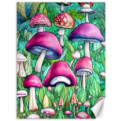 Charmed Toadstool Canvas 36  X 48  by GardenOfOphir