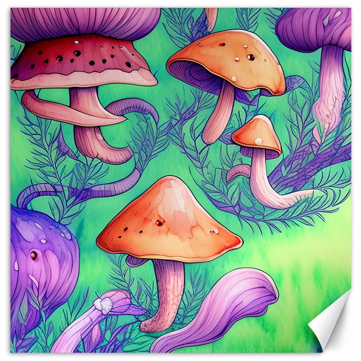 Natural Mushroom Illustration Design Canvas 16  x 16 