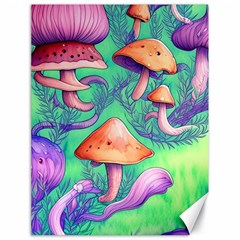 Natural Mushroom Illustration Design Canvas 18  X 24  by GardenOfOphir