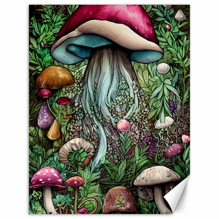 Craft Mushroom Canvas 12  x 16 