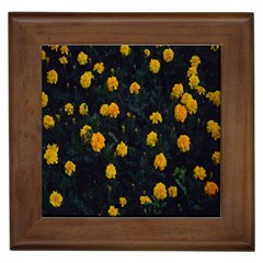 Bloomed Yellow Petaled Flower Plants Framed Tile by artworkshop