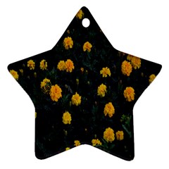 Bloomed Yellow Petaled Flower Plants Ornament (star) by artworkshop