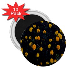 Bloomed Yellow Petaled Flower Plants 2 25  Magnets (10 Pack)  by artworkshop