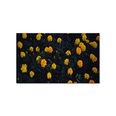 Bloomed Yellow Petaled Flower Plants Sticker (rectangular) by artworkshop