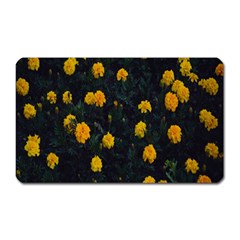 Bloomed Yellow Petaled Flower Plants Magnet (rectangular) by artworkshop