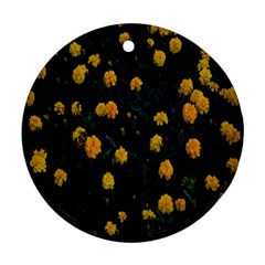 Bloomed Yellow Petaled Flower Plants Ornament (round) by artworkshop