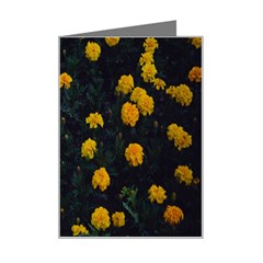 Bloomed Yellow Petaled Flower Plants Mini Greeting Card