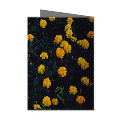 Bloomed Yellow Petaled Flower Plants Mini Greeting Cards (pkg Of 8) by artworkshop