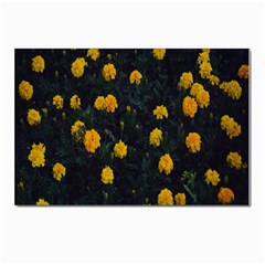 Bloomed Yellow Petaled Flower Plants Postcards 5  X 7  (pkg Of 10) by artworkshop