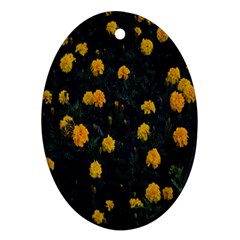 Bloomed Yellow Petaled Flower Plants Ornament (oval) by artworkshop