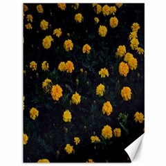 Bloomed Yellow Petaled Flower Plants Canvas 36  X 48 