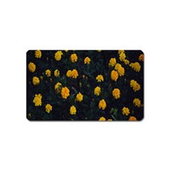 Bloomed Yellow Petaled Flower Plants Magnet (name Card) by artworkshop