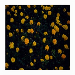 Bloomed Yellow Petaled Flower Plants Medium Glasses Cloth by artworkshop