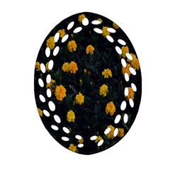 Bloomed Yellow Petaled Flower Plants Ornament (oval Filigree) by artworkshop