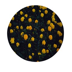 Bloomed Yellow Petaled Flower Plants Mini Round Pill Box by artworkshop