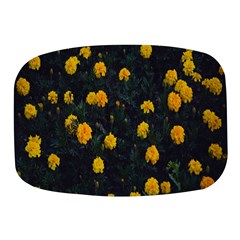 Bloomed Yellow Petaled Flower Plants Mini Square Pill Box by artworkshop