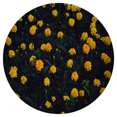 Bloomed Yellow Petaled Flower Plants Round Trivet by artworkshop