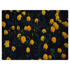 Bloomed Yellow Petaled Flower Plants One Side Premium Plush Fleece Blanket (extra Small) by artworkshop