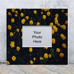 Bloomed Yellow Petaled Flower Plants White Wall Photo Frame 5  x 7  Front