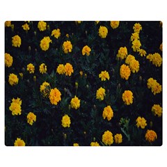 Bloomed Yellow Petaled Flower Plants One Side Premium Plush Fleece Blanket (medium) by artworkshop