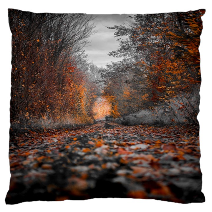 Breathe In Nature Background Large Cushion Case (One Side)