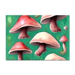 Forest Mushrooms Sticker A4 (100 pack)