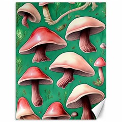 Forest Mushrooms Canvas 12  x 16 