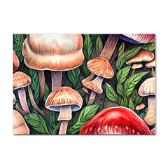 Rustic Mushroom Sticker A4 (100 Pack) by GardenOfOphir