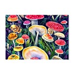 Woodsy Mushroom Design Foresty Crystal Sticker (A4) Front