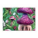 Foraging In The Forest Sticker A4 (100 pack) Front