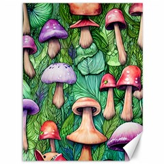 Tiny Toadstools Canvas 36  X 48 