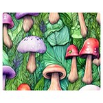 Tiny Toadstools Premium Plush Fleece Blanket (Medium) 60 x50  Blanket Front