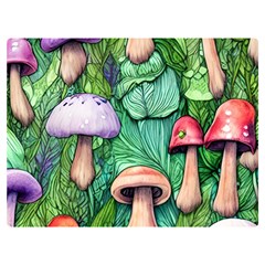 Tiny Toadstools One Side Premium Plush Fleece Blanket (extra Small)