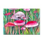 Forest Mushrooms Sticker A4 (100 pack) Front