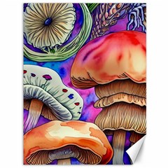 Goblin Mushrooms Canvas 36  X 48 