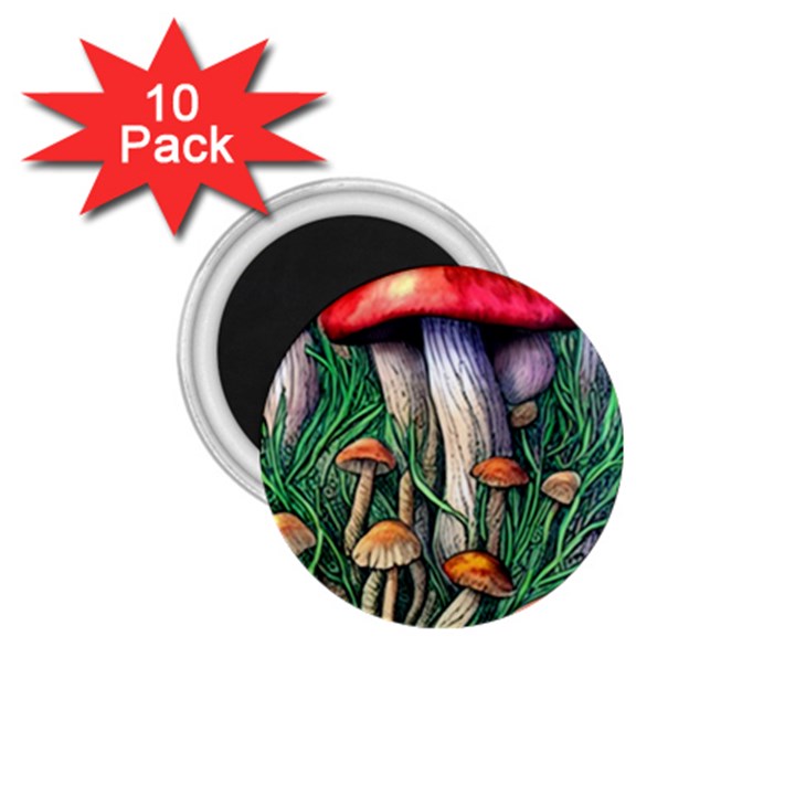 Forest Fairycore Mushroom Foraging Craft 1.75  Magnets (10 pack) 