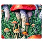 Forest Fairycore Mushroom Foraging Craft Premium Plush Fleece Blanket (Small) 50 x40  Blanket Front