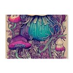 Natural Forest Fairy Mushroom Foraging Crystal Sticker (A4) Front