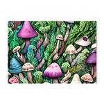 Mushrooms In The Woods Crystal Sticker (A4) Front