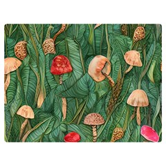 Fairycore Mushroom Premium Plush Fleece Blanket (extra Small)