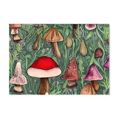 Fairycore Mushroom Forest Crystal Sticker (a4) by GardenOfOphir